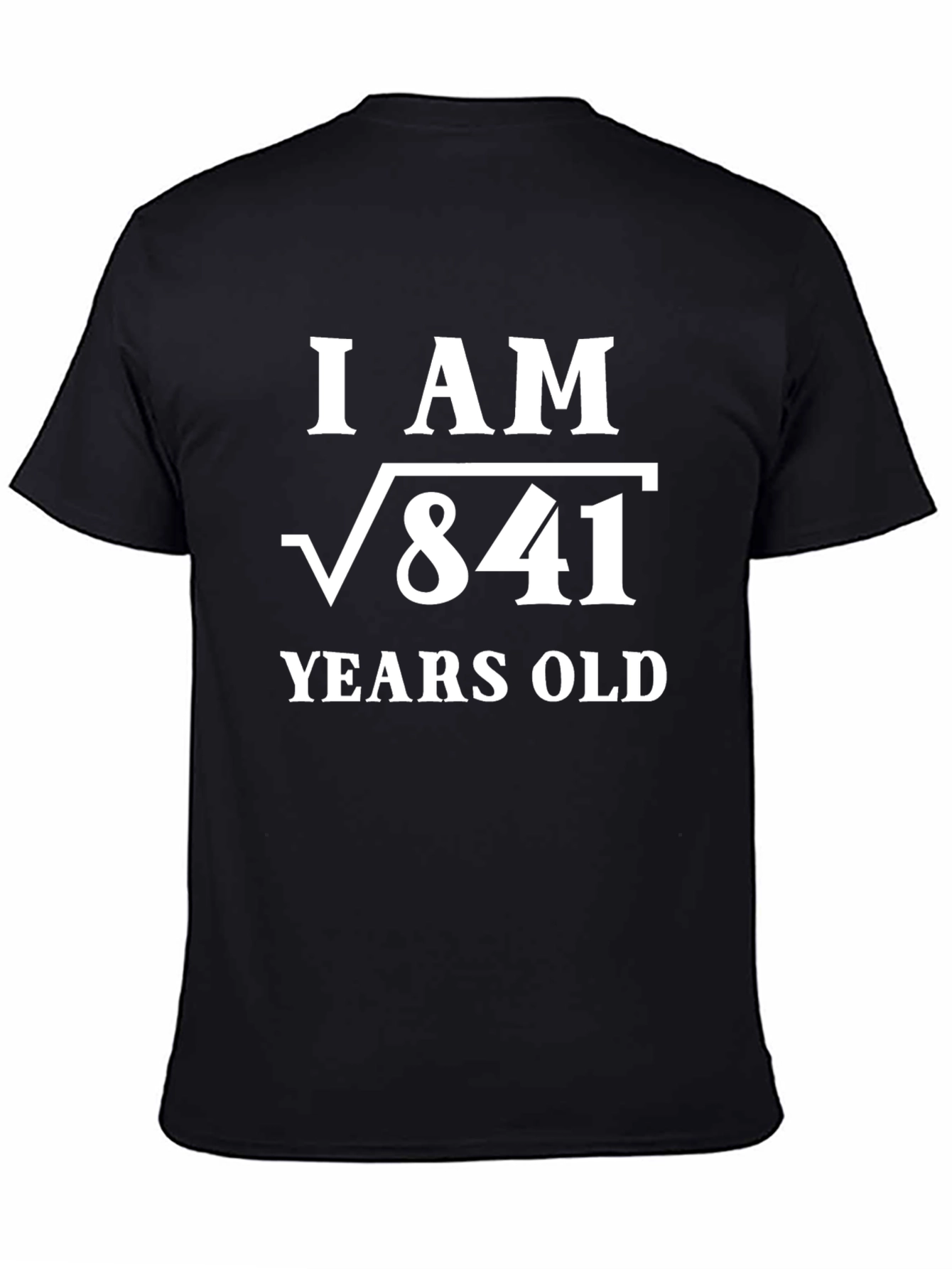 Camiseta Divertida Raíz Cuadrada de 841