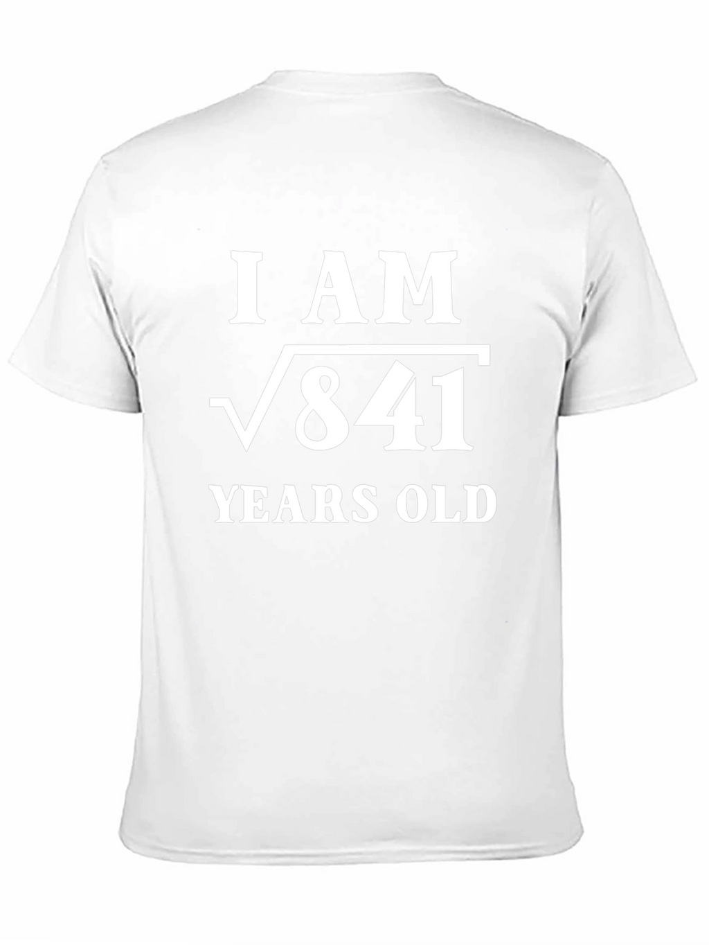 Camiseta Divertida Raíz Cuadrada de 841