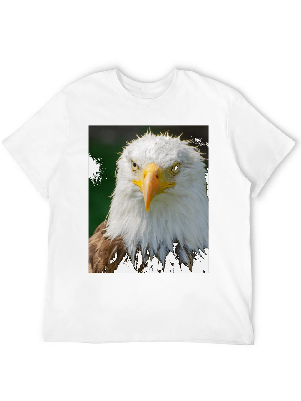 Camiseta Negra con Diseño de Águila Calva