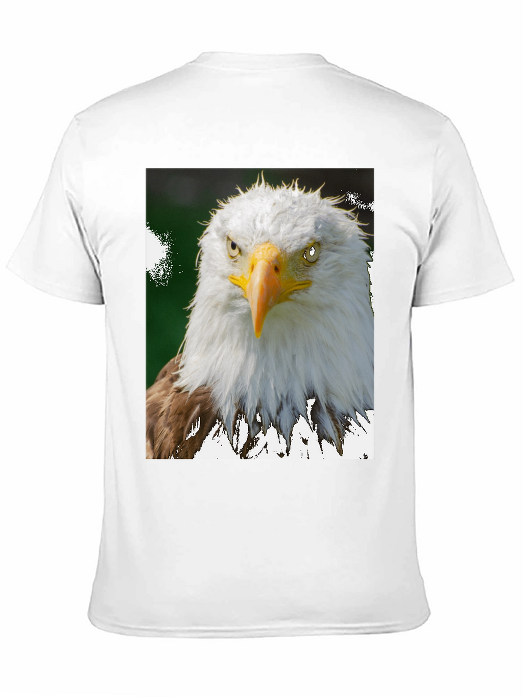 Camiseta Negra con Diseño de Águila Calva