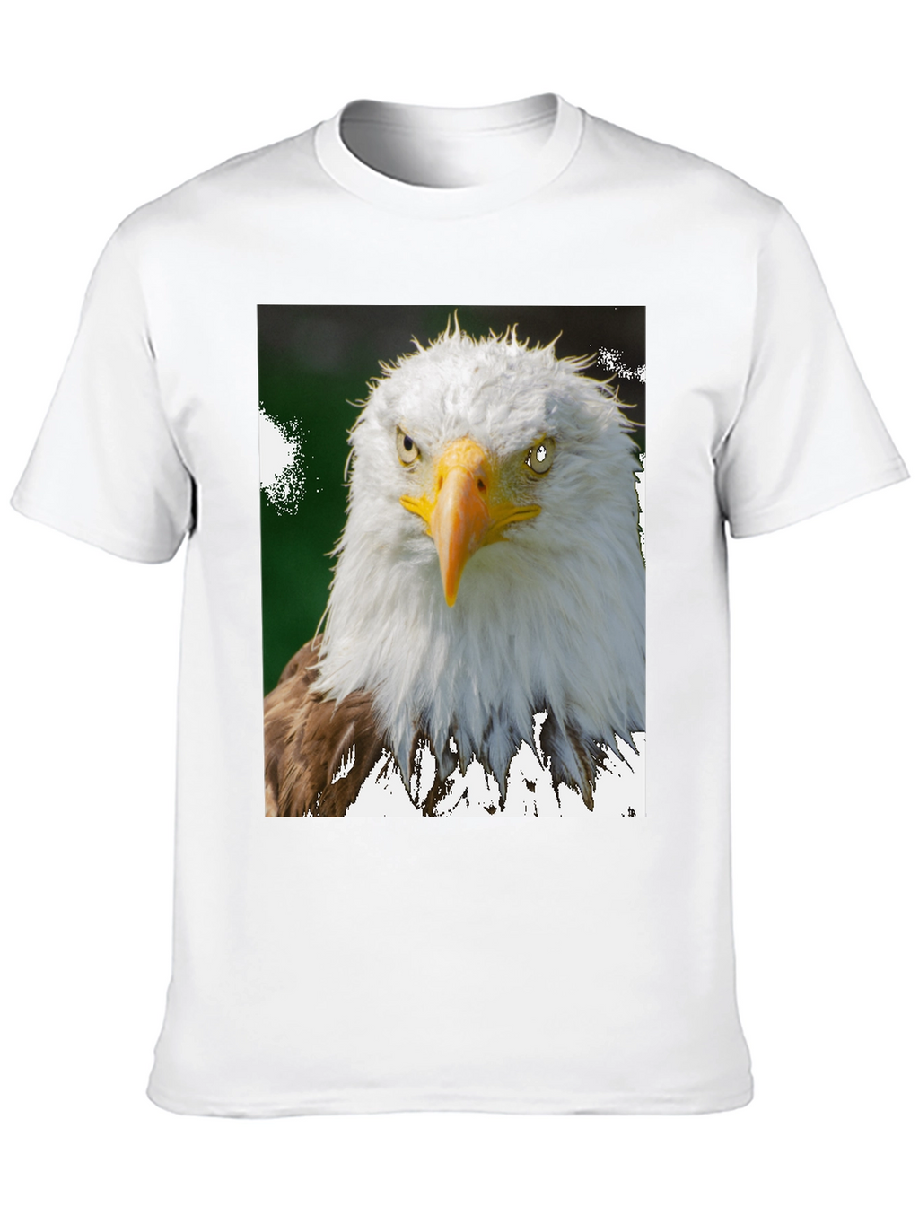 Camiseta Negra con Diseño de Águila Calva